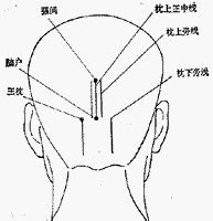 龜尾穴|醫砭 » 中華針灸 » 長強